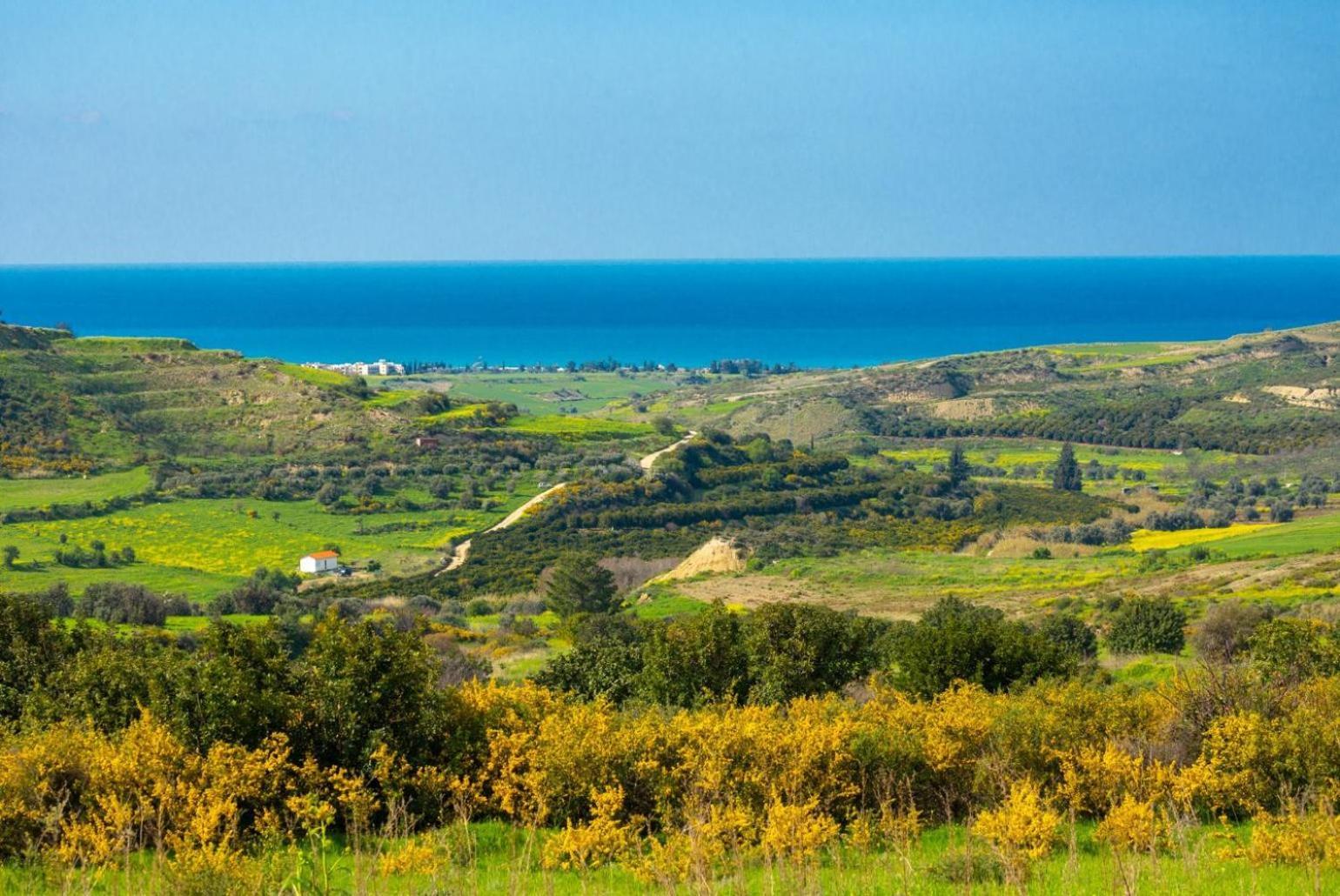Villa Rallo Paphos Kültér fotó